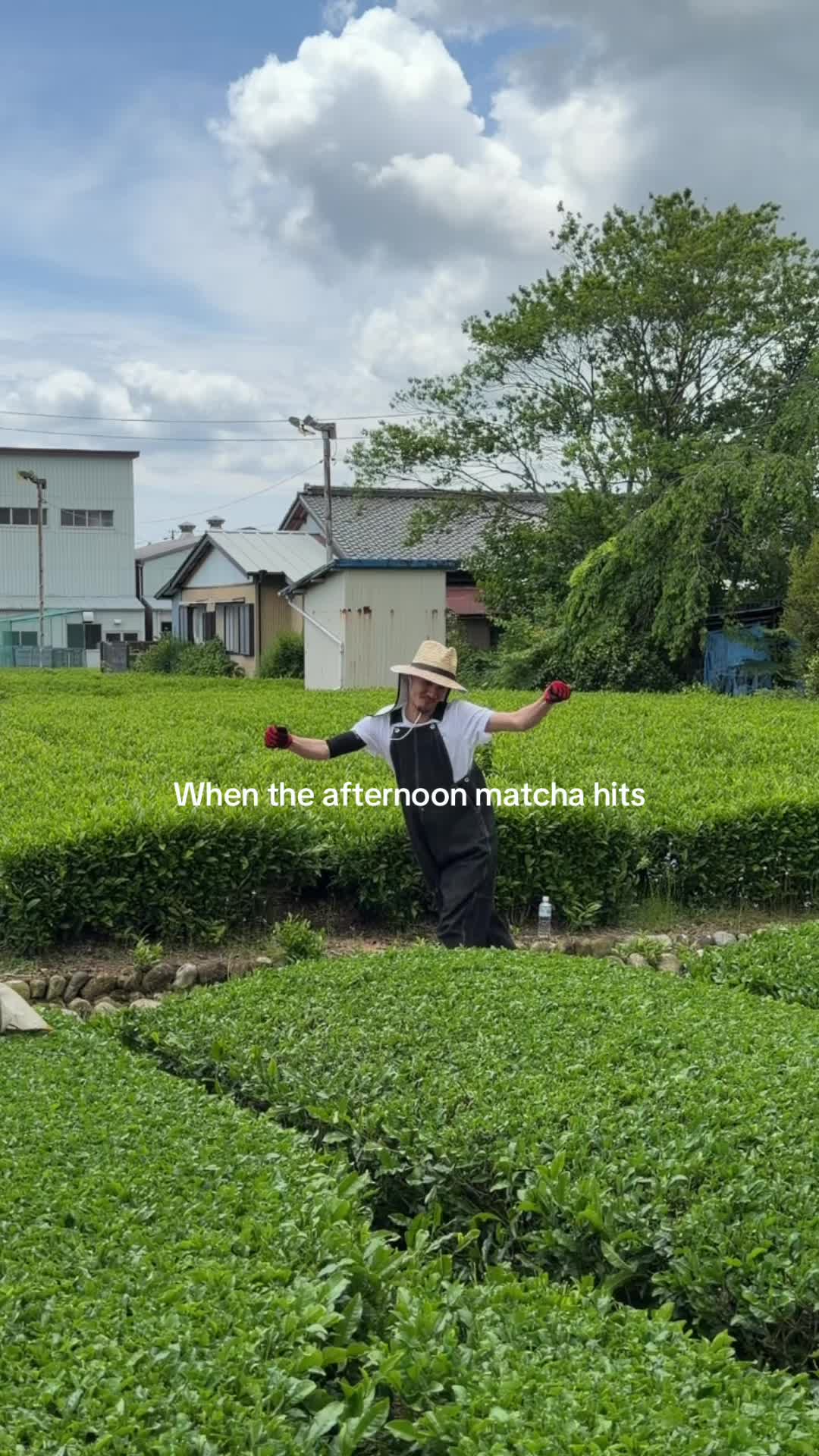 @Nekohama Matcha