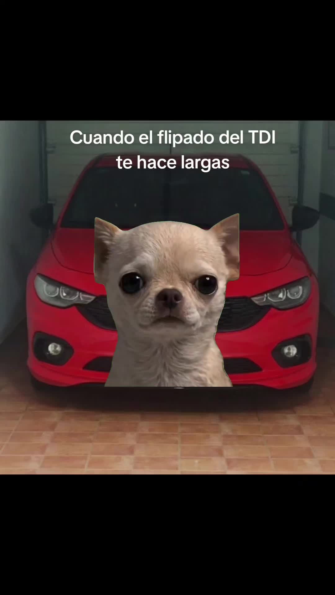 @XexuF1