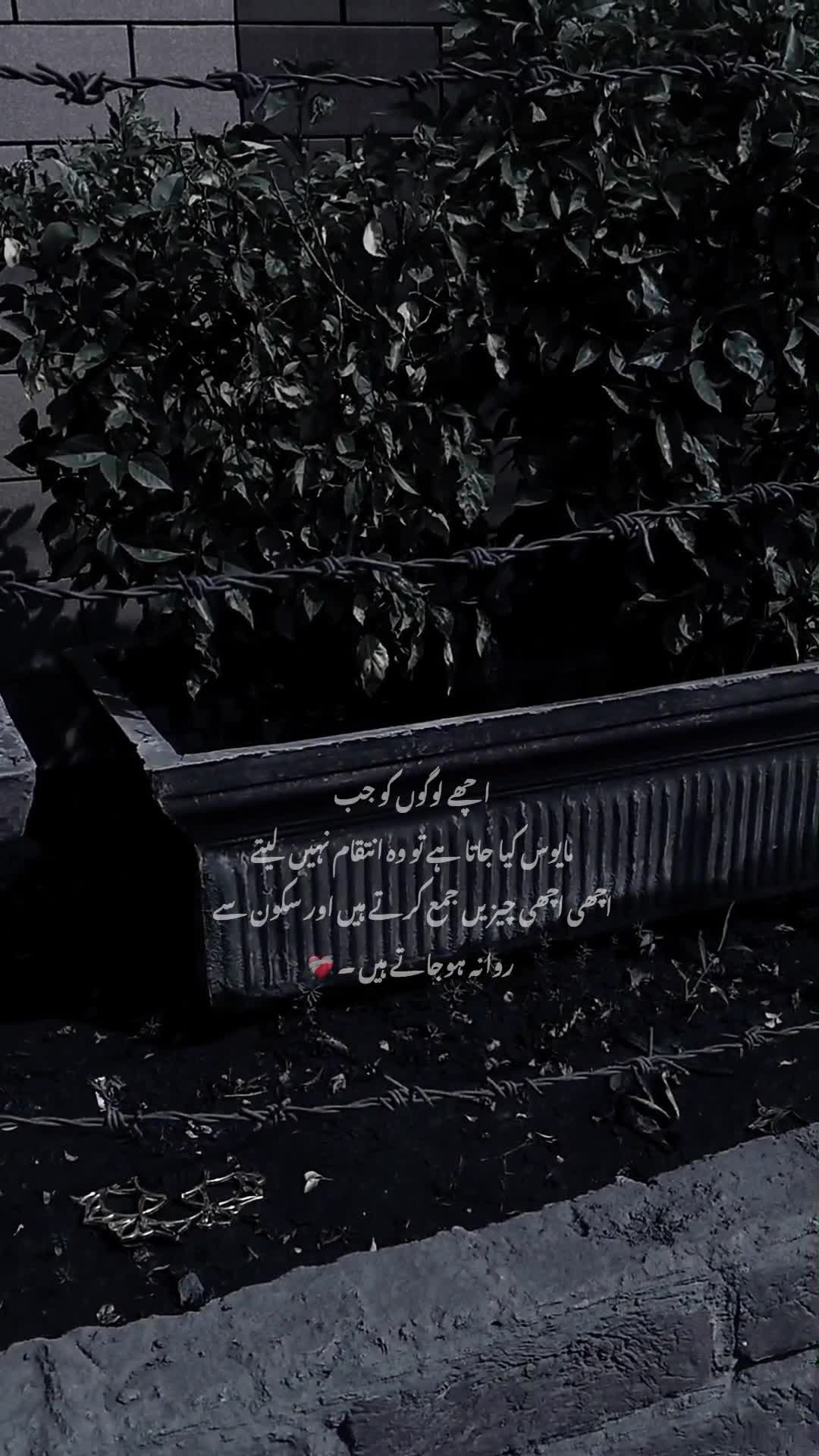 @- 💔
