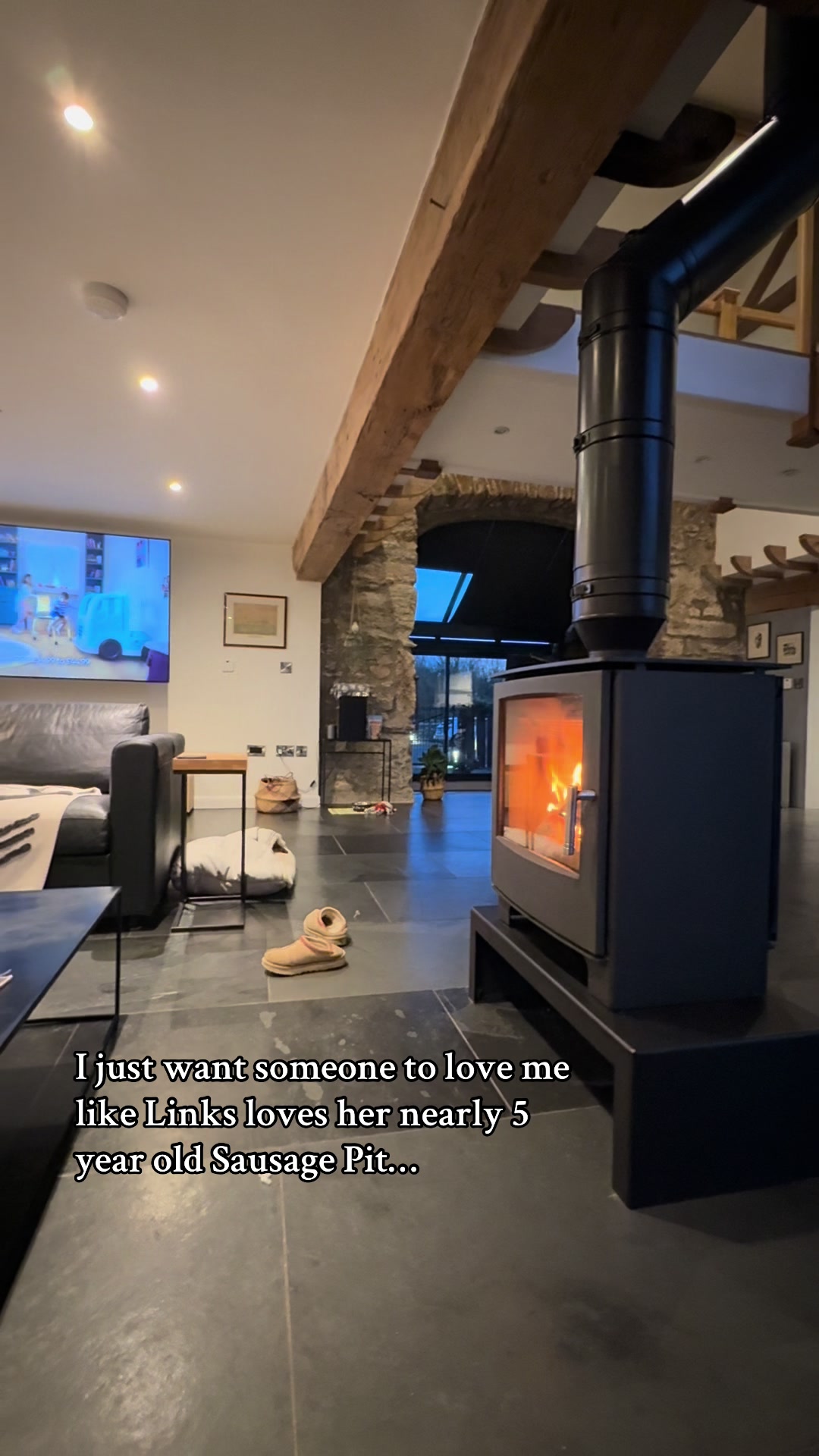 @sausagedogsisters