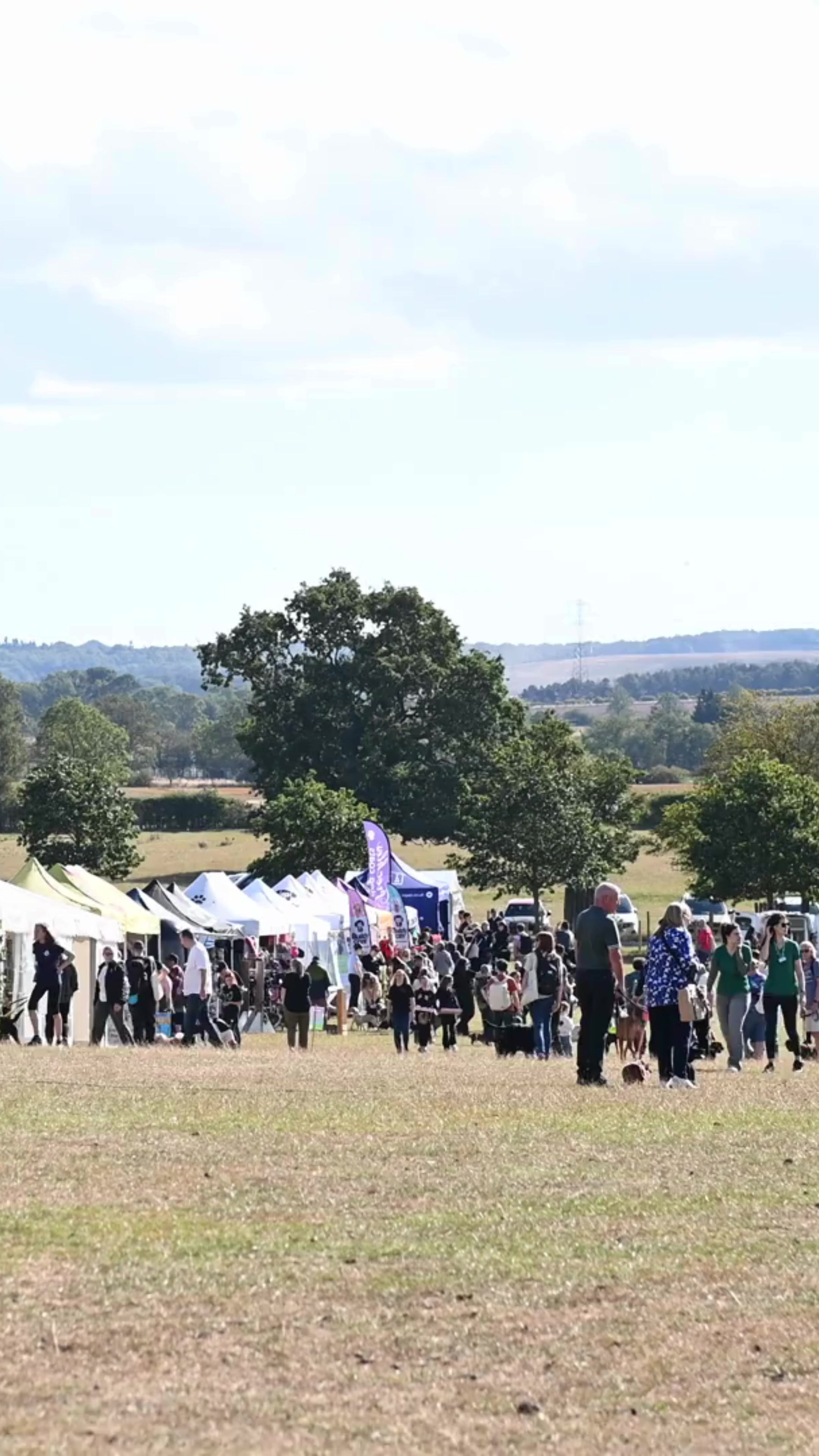 @northeastdogfestival