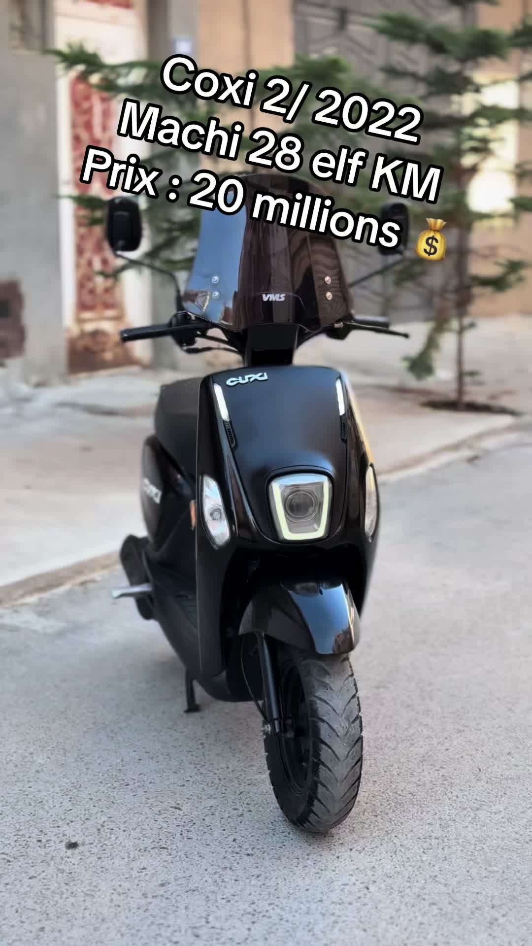 @Big Boy Moto