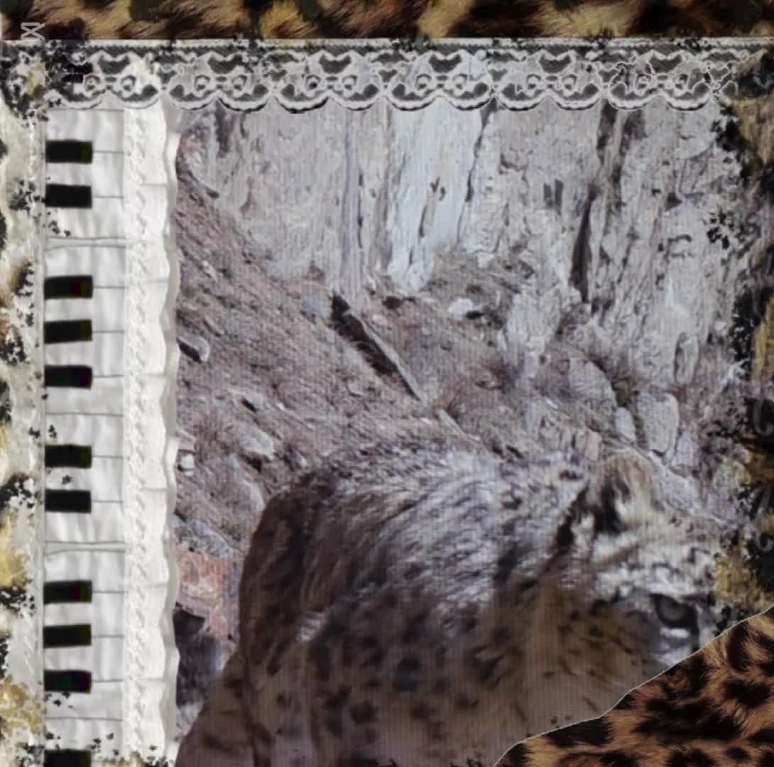 @𝜗ৎ Ꮆ卂几Ꮆㄥ乇 ⋆˚꩜｡🎸