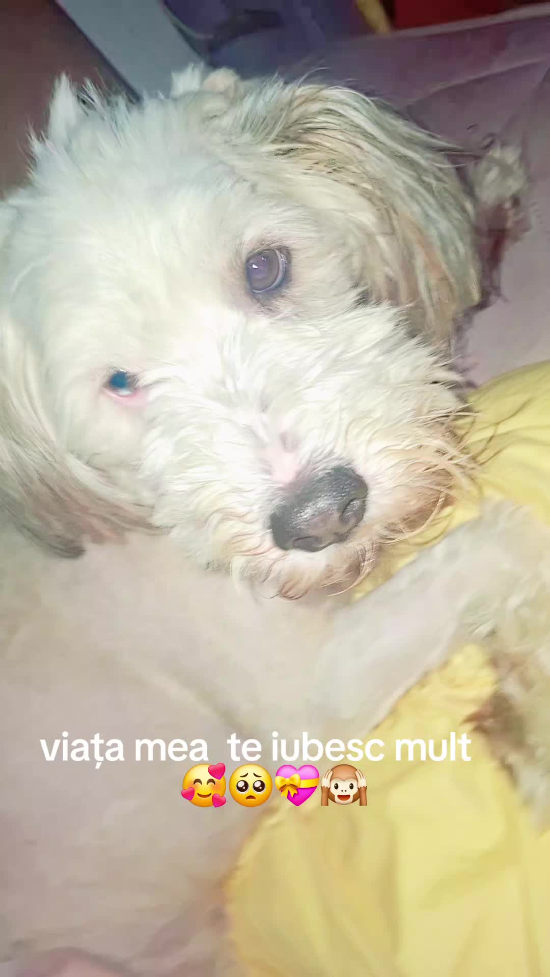 @tabita   buburuza  😙🥰😙
