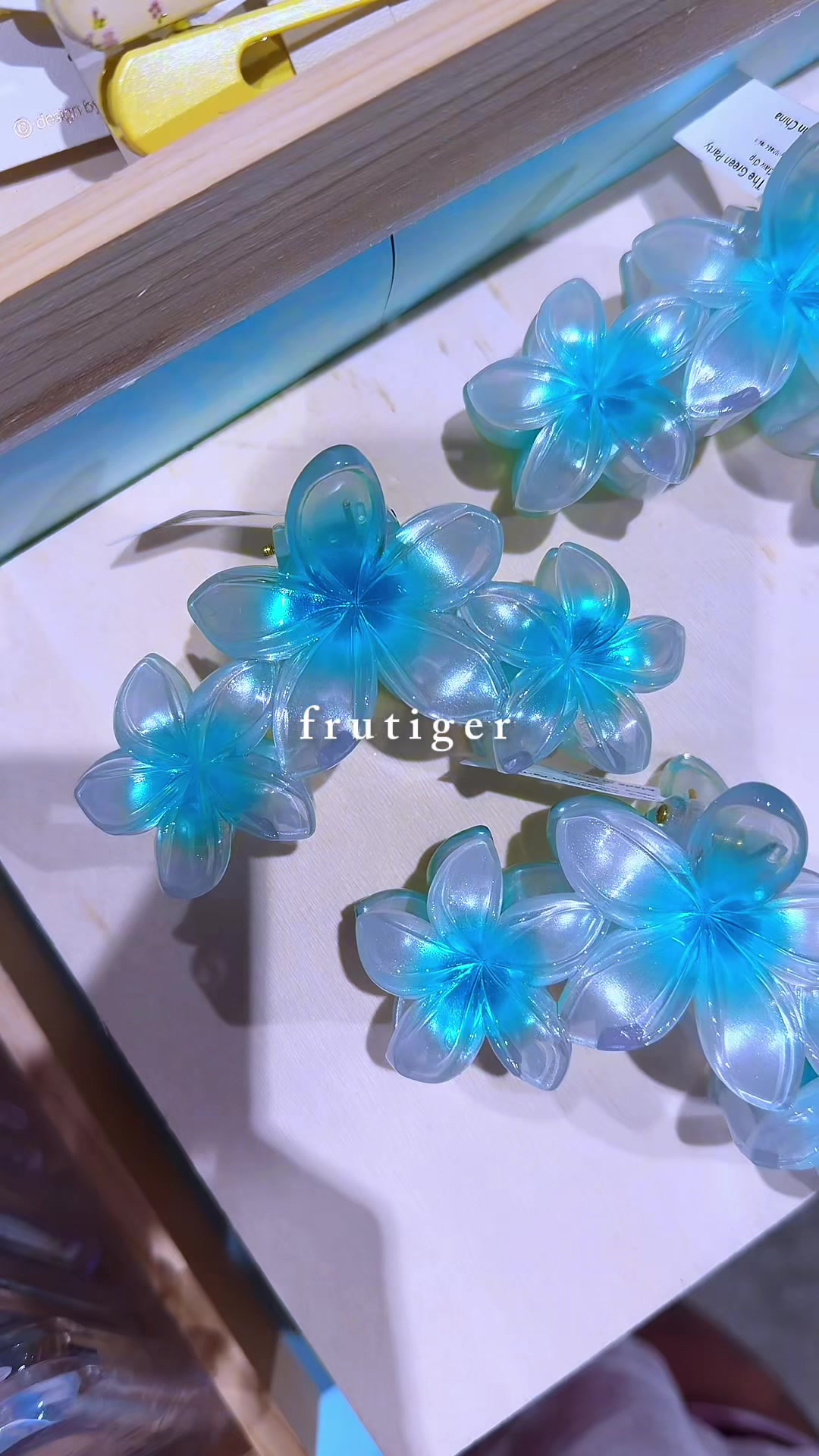 @aqua cat 🐋🪼