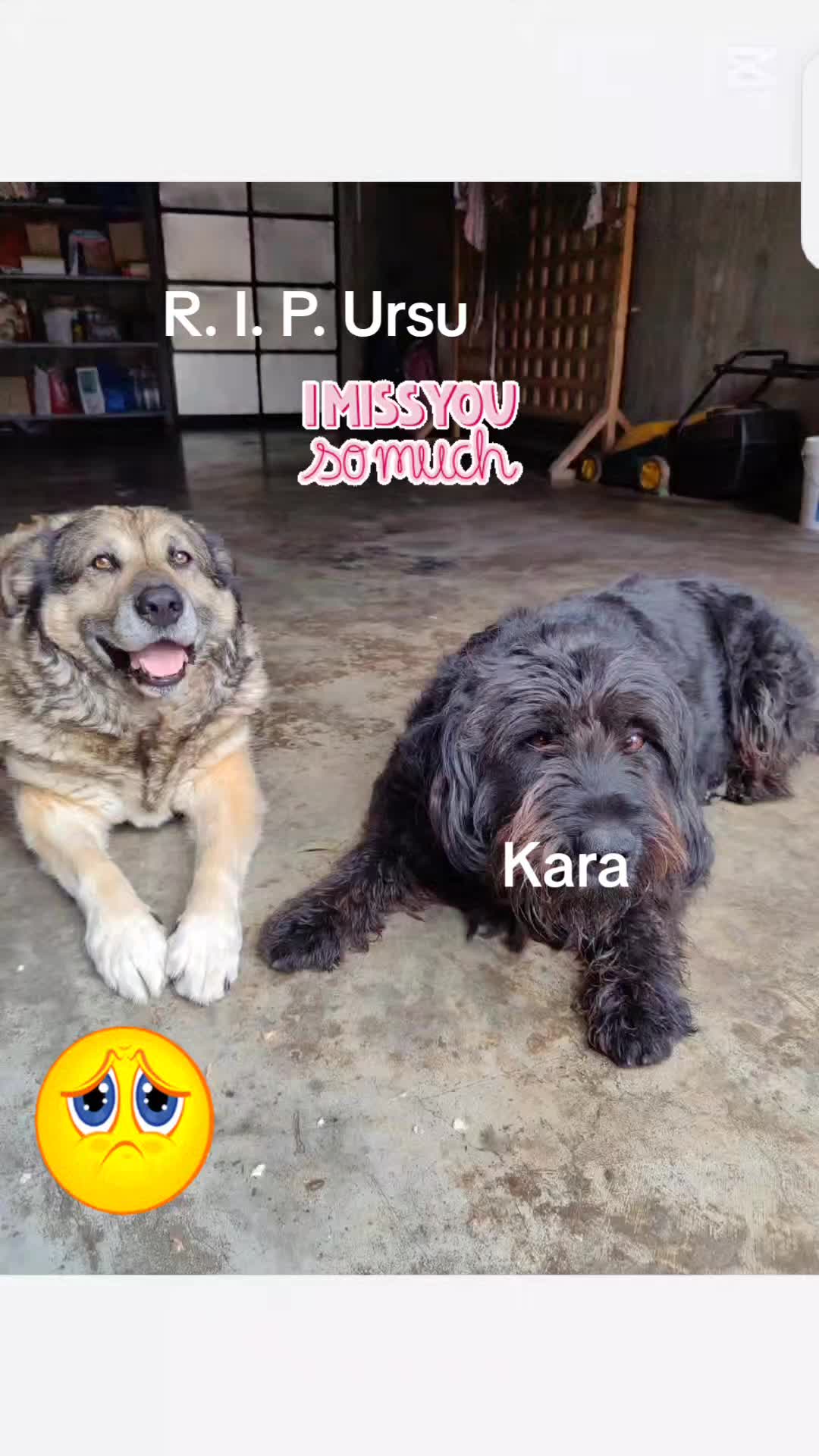 @Balasz Anamaria