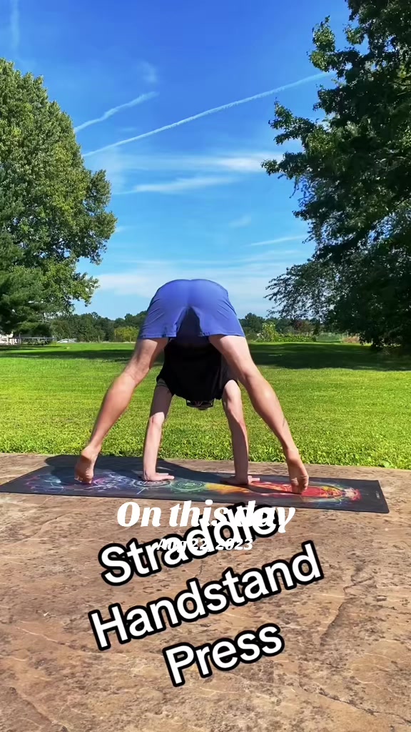 @jim_y🐅