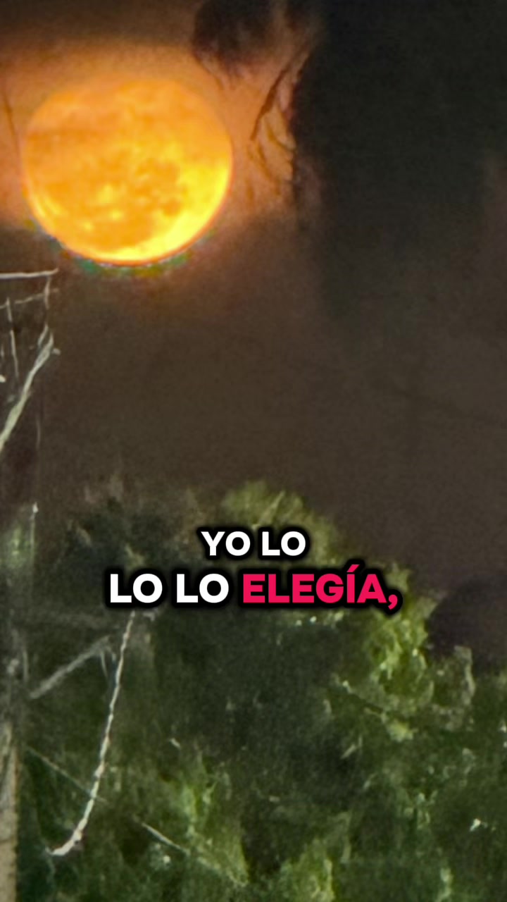 @yani_guzmy