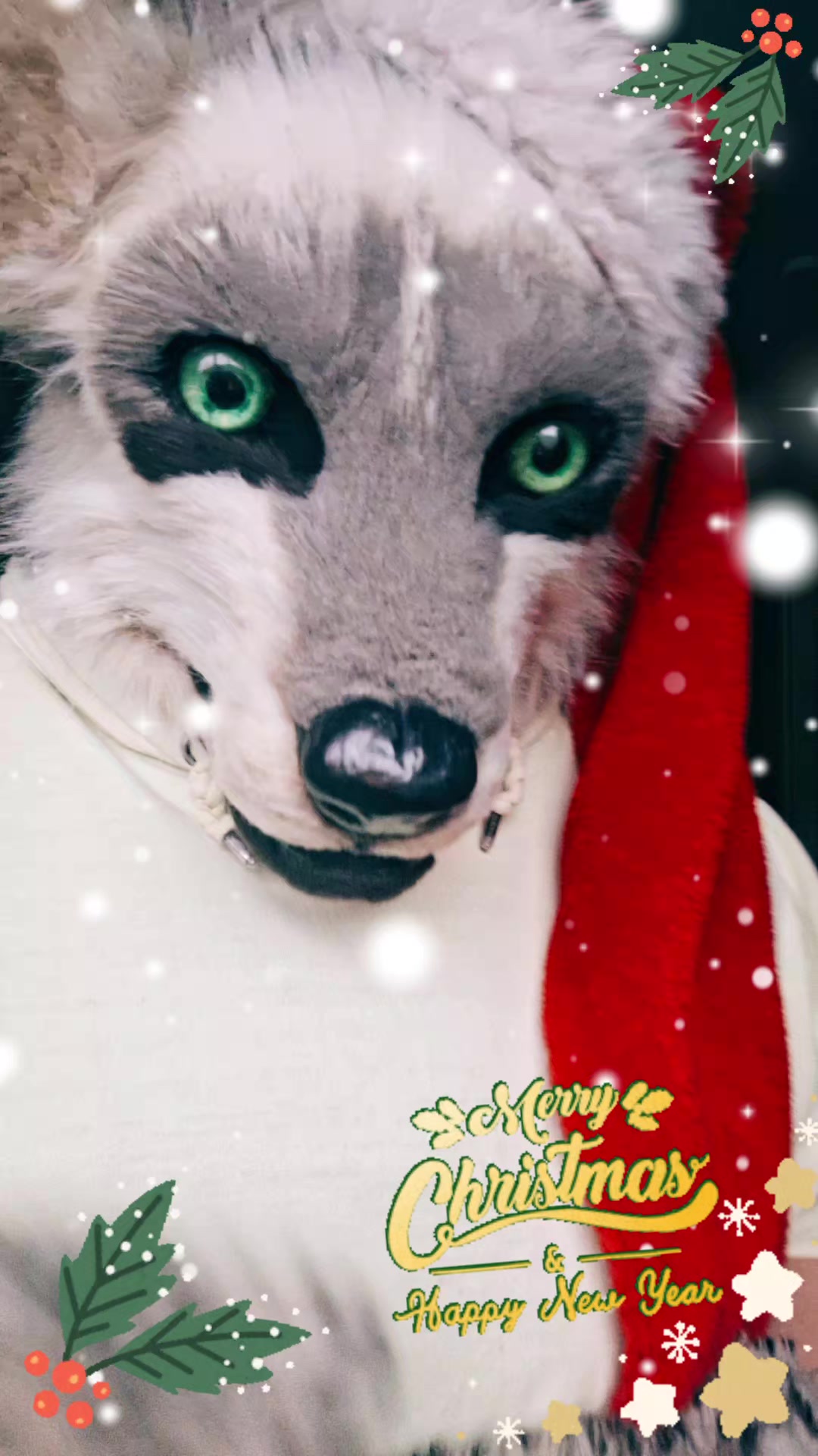 @ℂ/𝕃 🌟