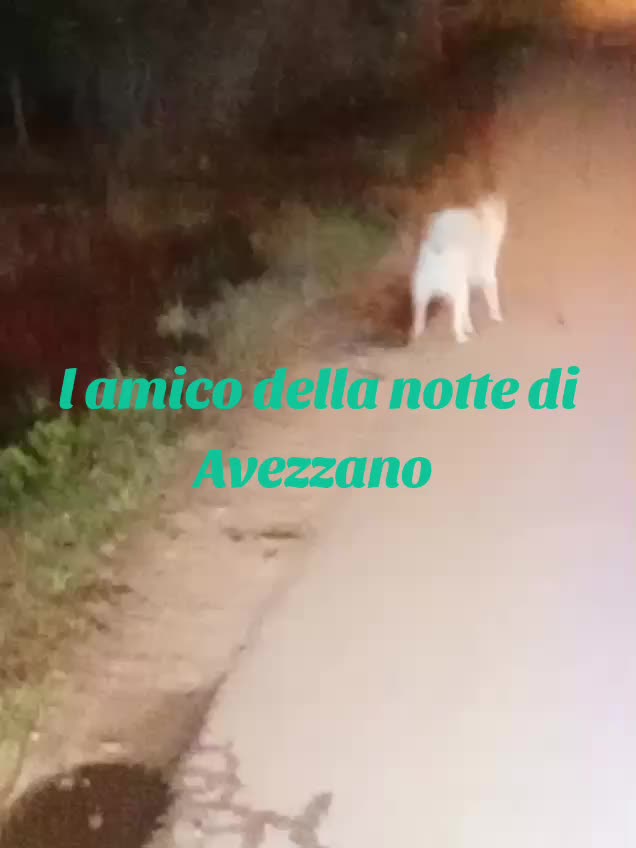 @Tommaso Ferrante417