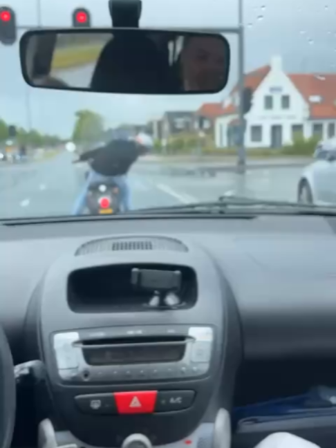 @Dumpert