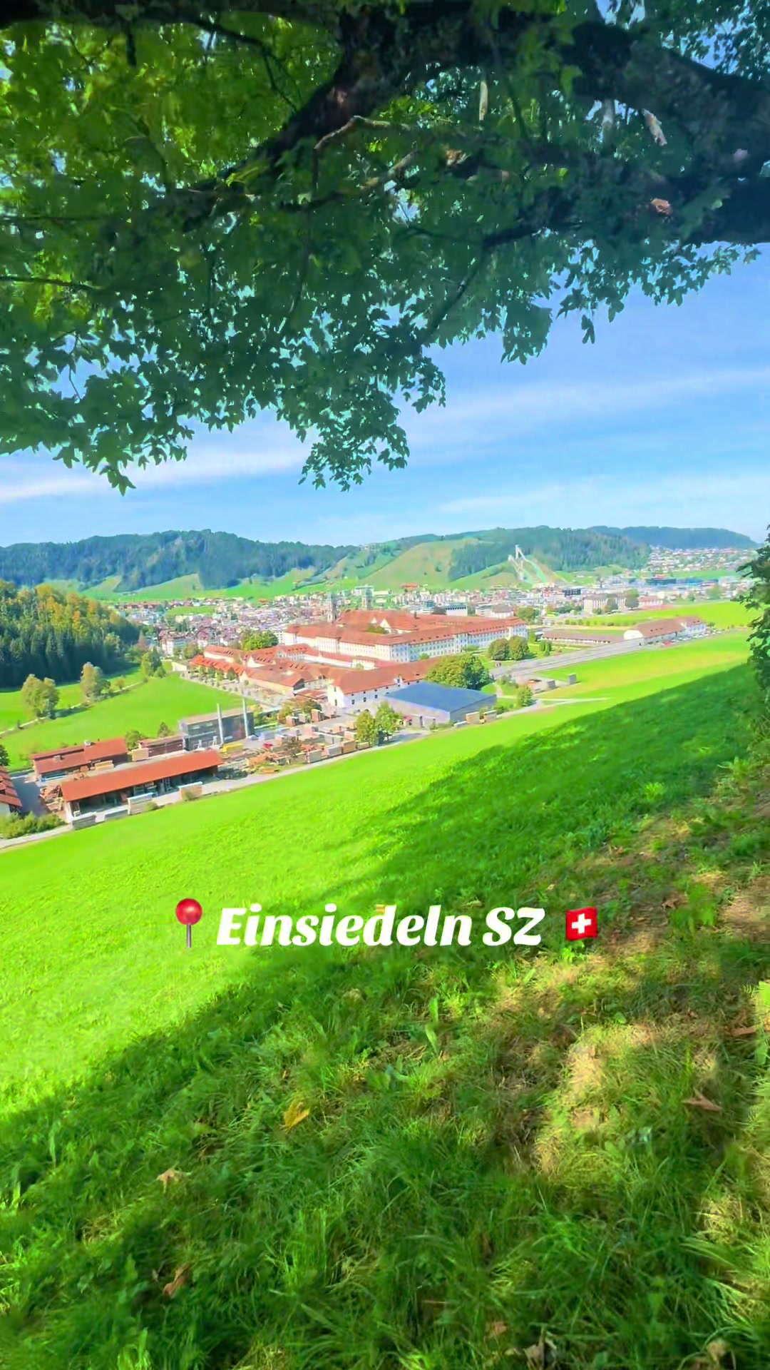 @swiss_alps