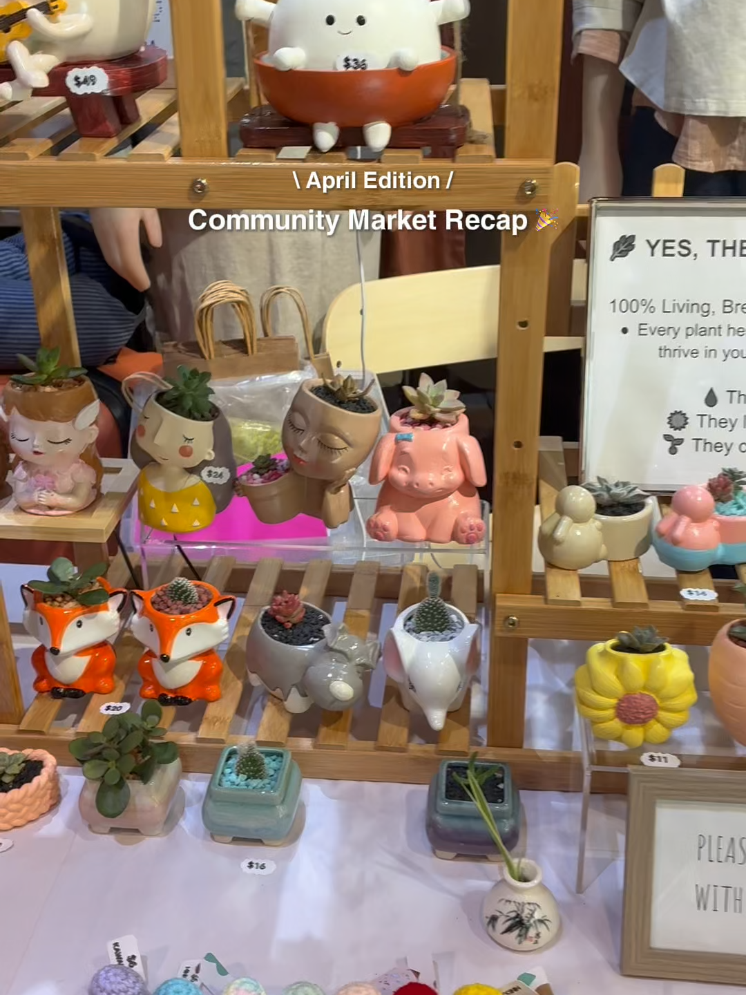 @MUJI Canada