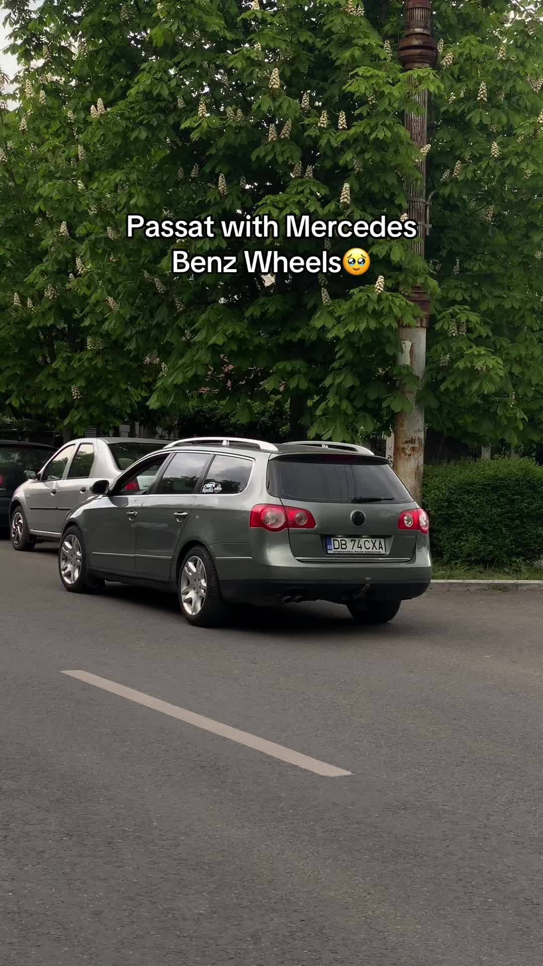 @Teodor