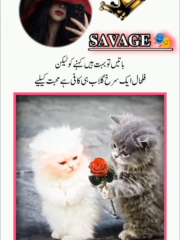 @𝐒𝐀𝐕𝐀𝐆𝐄 🎭