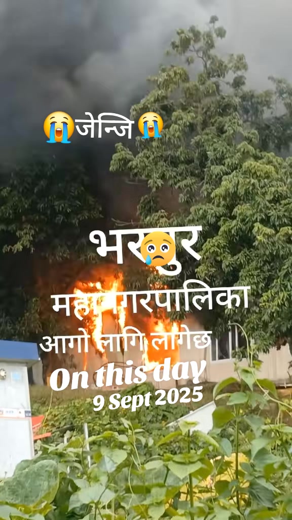 @amritajoshi936