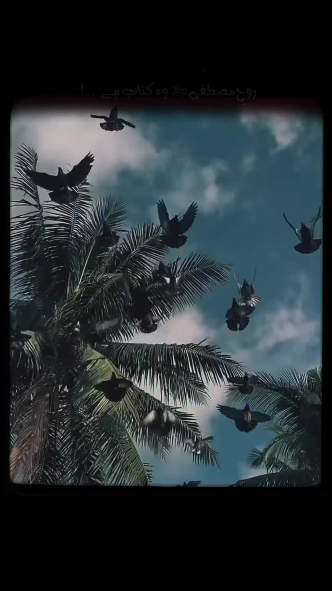 @.