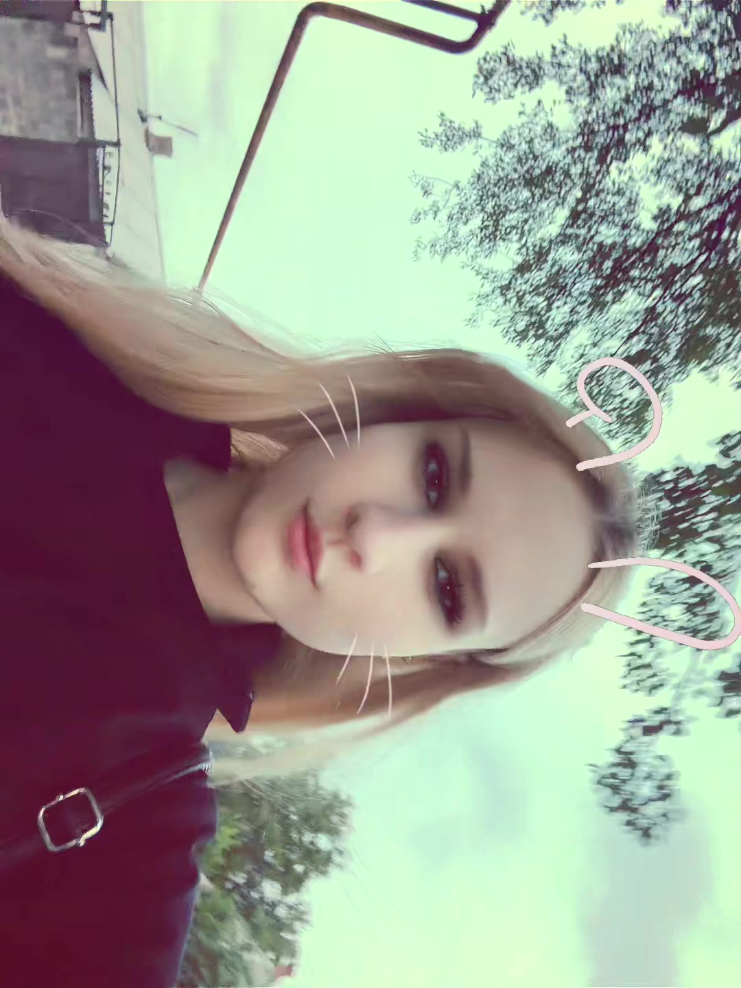 @avveni 🐈