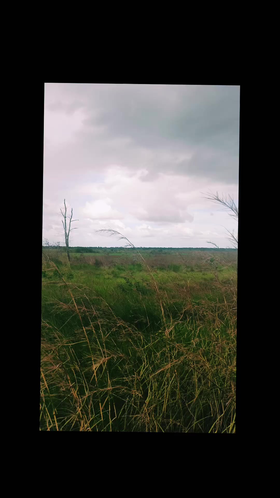 @🌩️