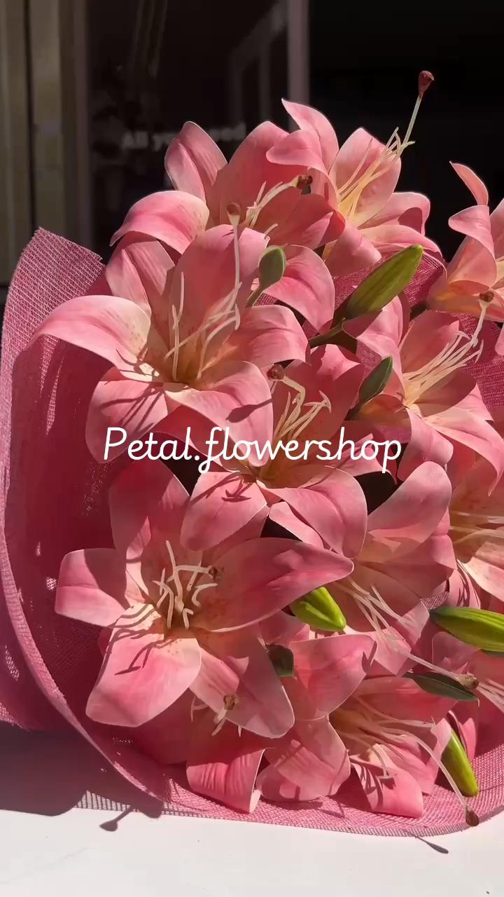 @Petal