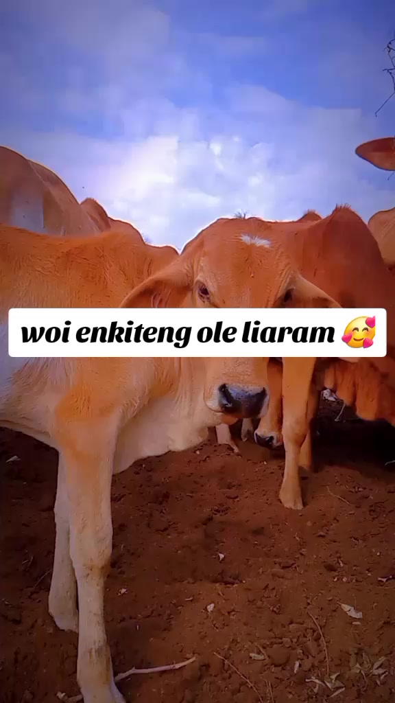 @MOI CAICEDO