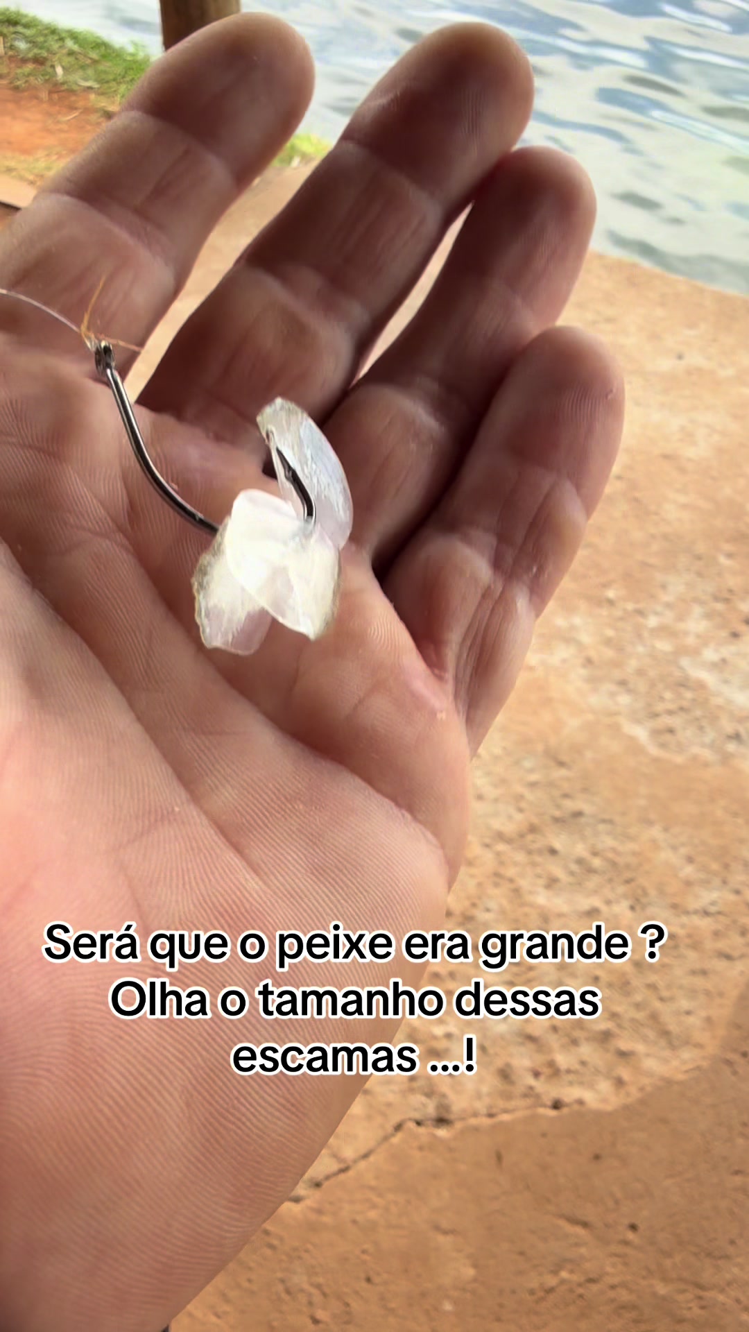 @Dimex Pescador