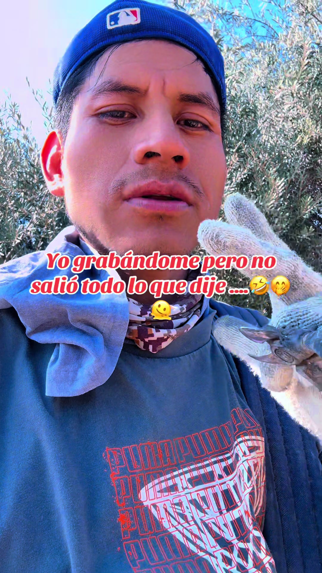 @Elo Santana 🥑🍊🍋
