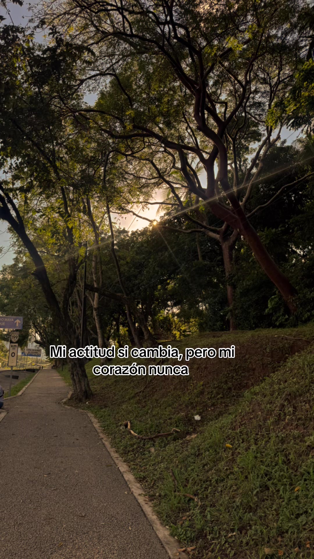 @Barbara gome