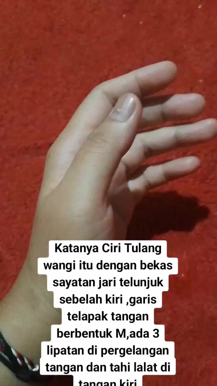@lena