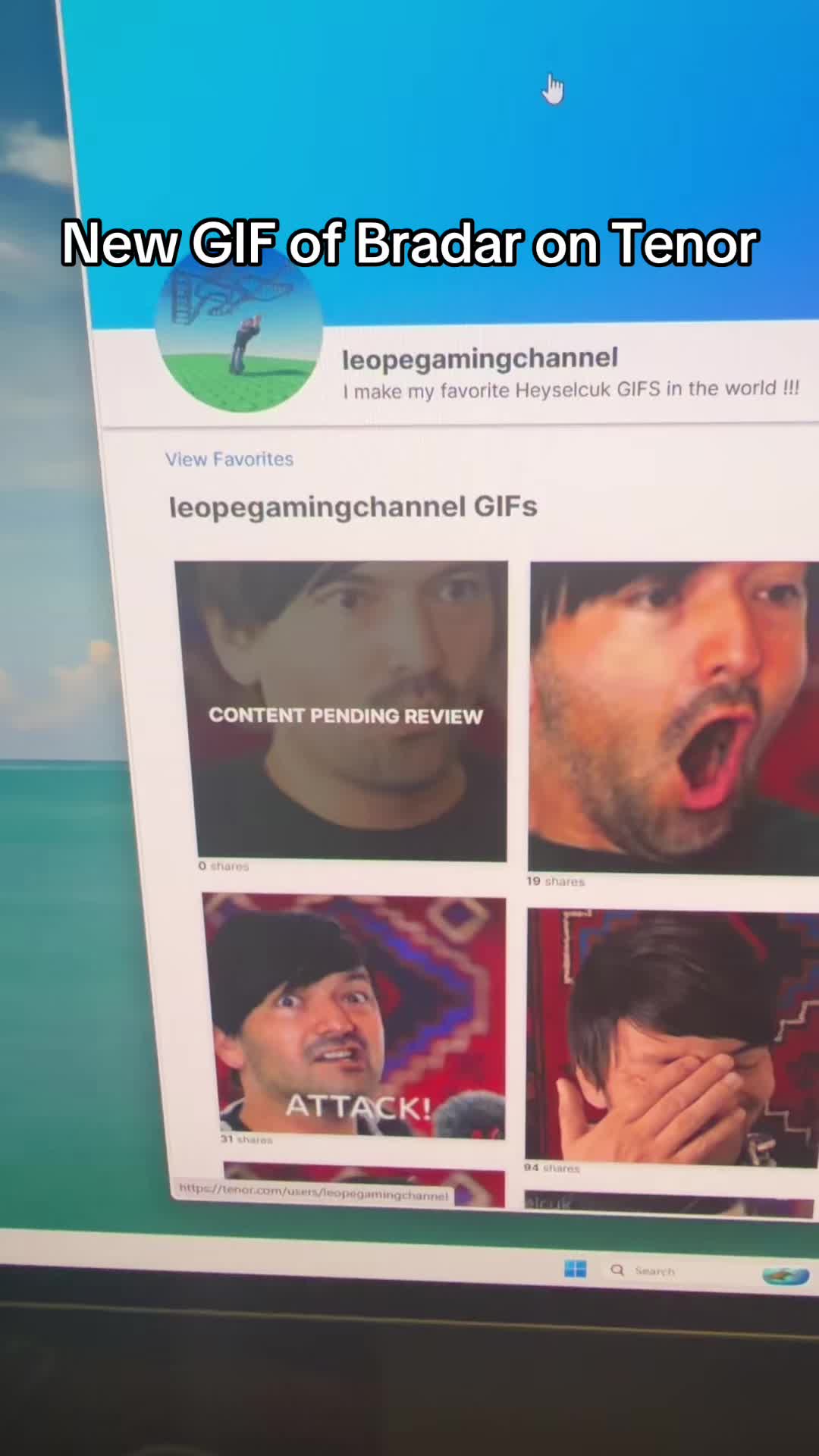 @Altaccountleope 🦈⛓️