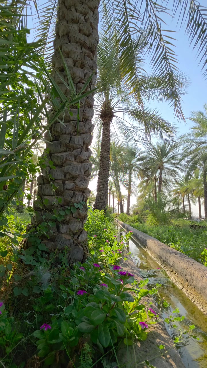 @واثقه بالله
