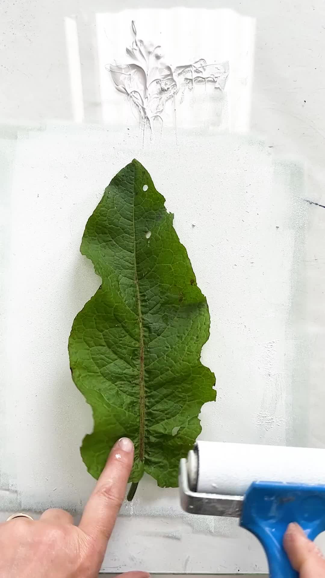 @Impressions of Nature