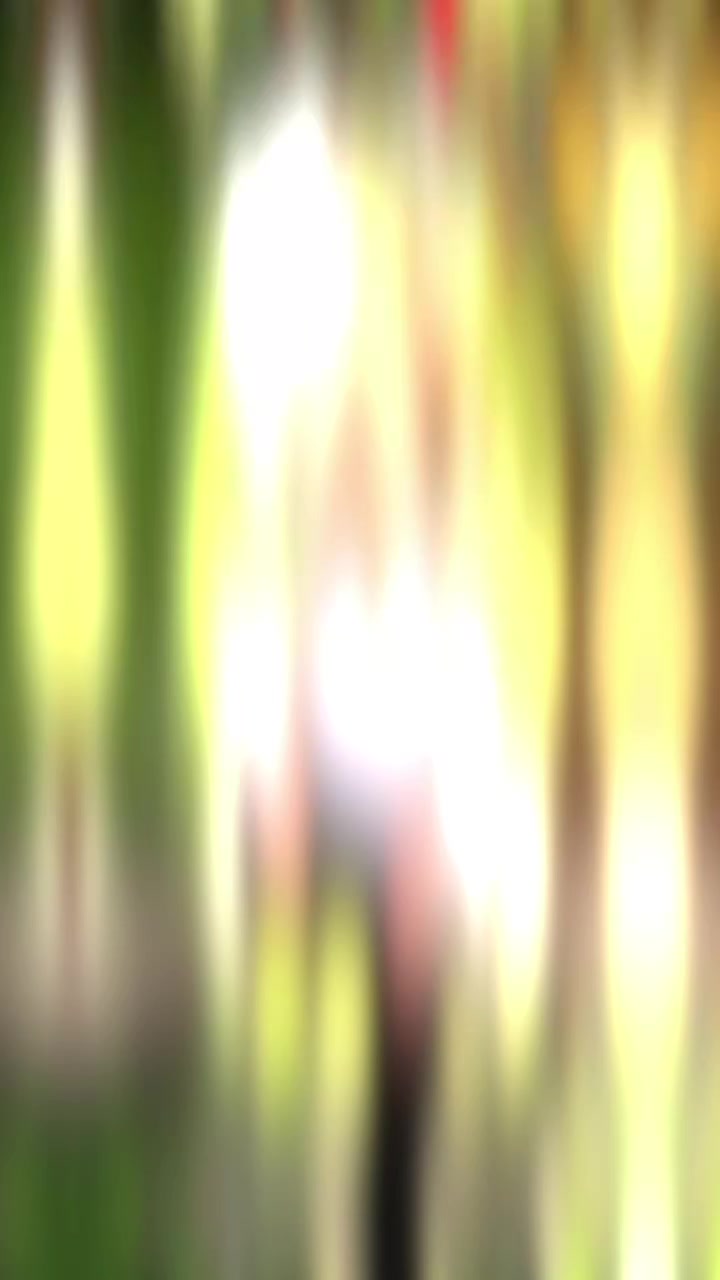 @ツﻬஐﻬ 🅶🅸🆉🅴🅼🅻🅸 🅰🅳🅰🅼 ﻬ