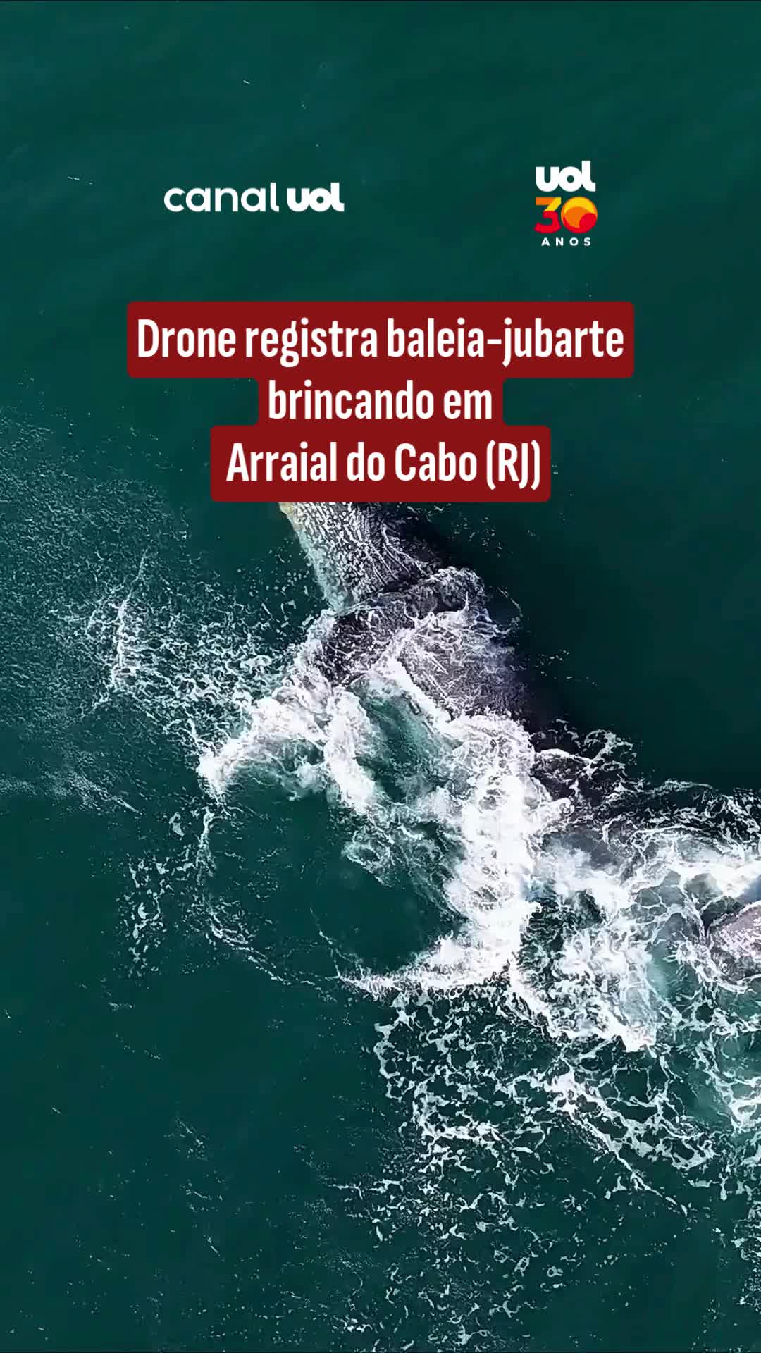 @uol