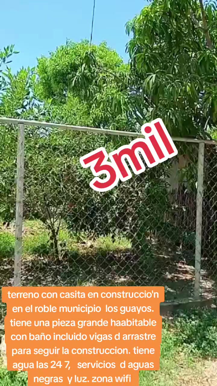 @Lis_venta