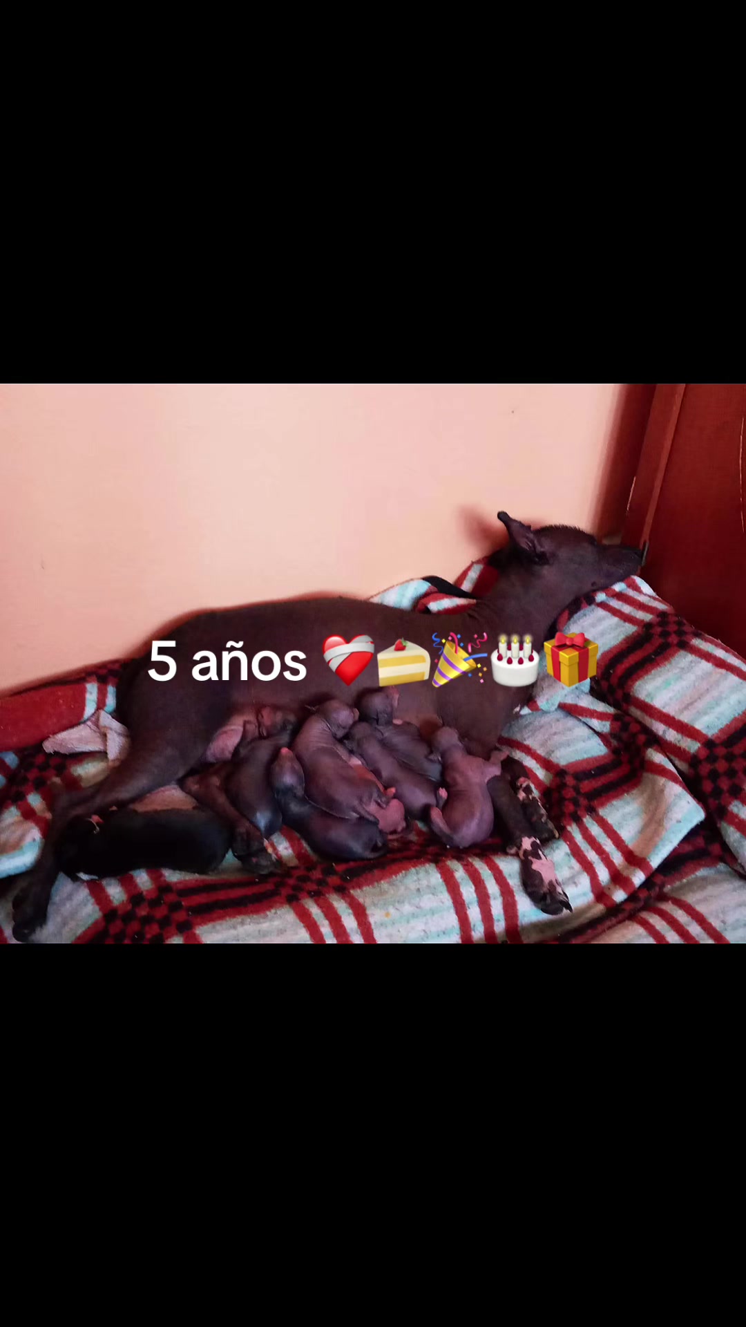 @Ra&uacute;l IR