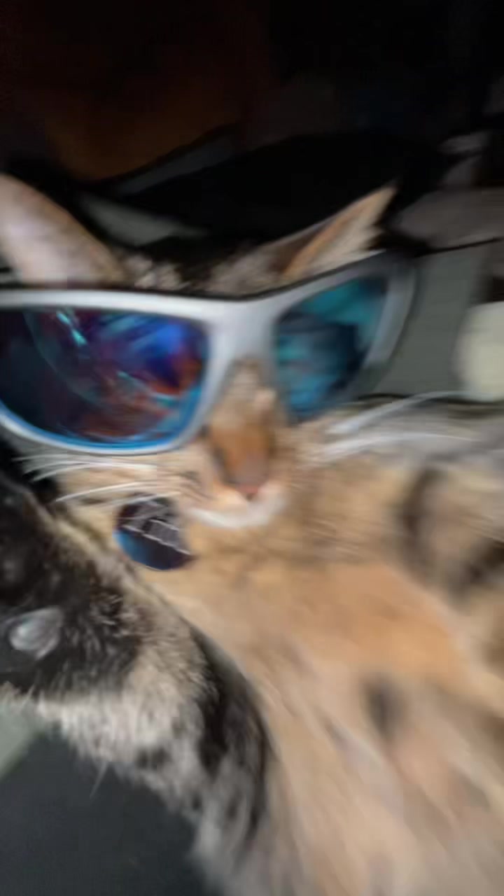 @emileeskye.420