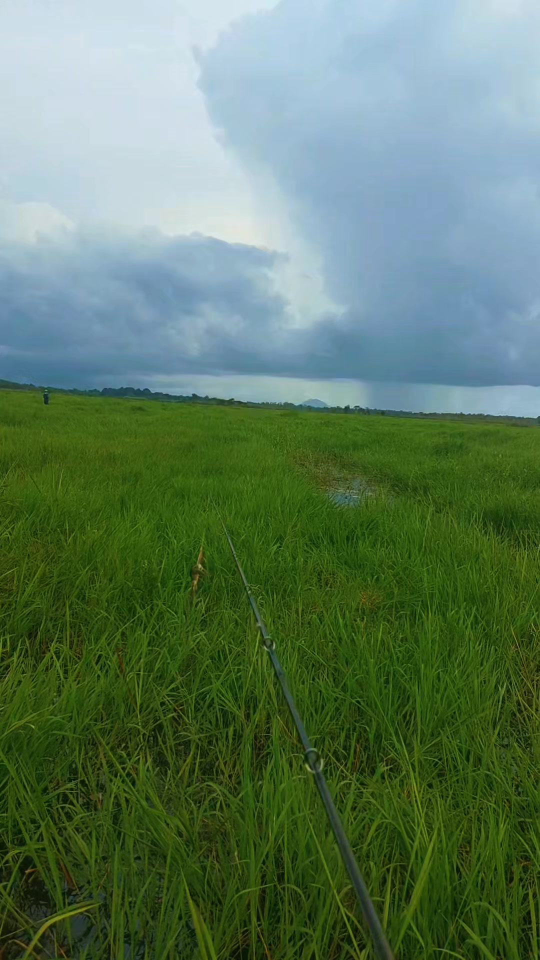 @TungFishing