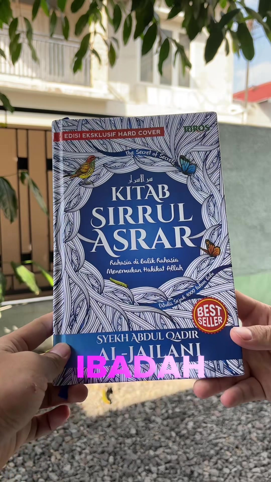 @Kak Maulana | Konsultan