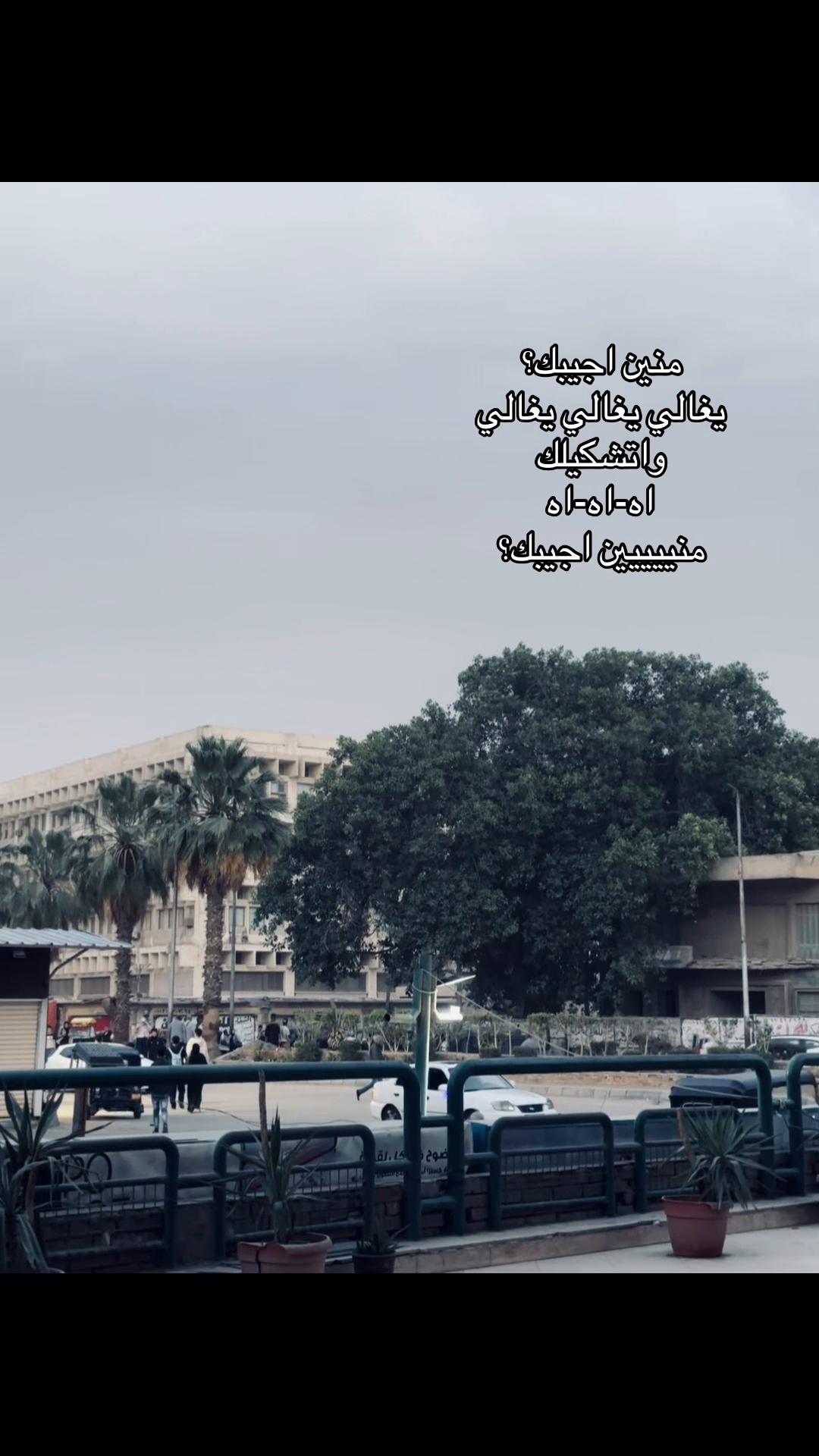 @3a2rab๐ฆ
๐ค