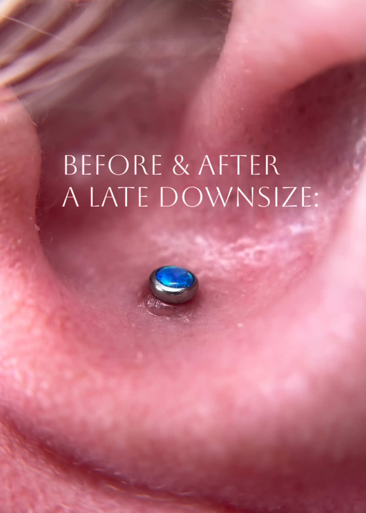 @PiercerSol | SATX Piercings