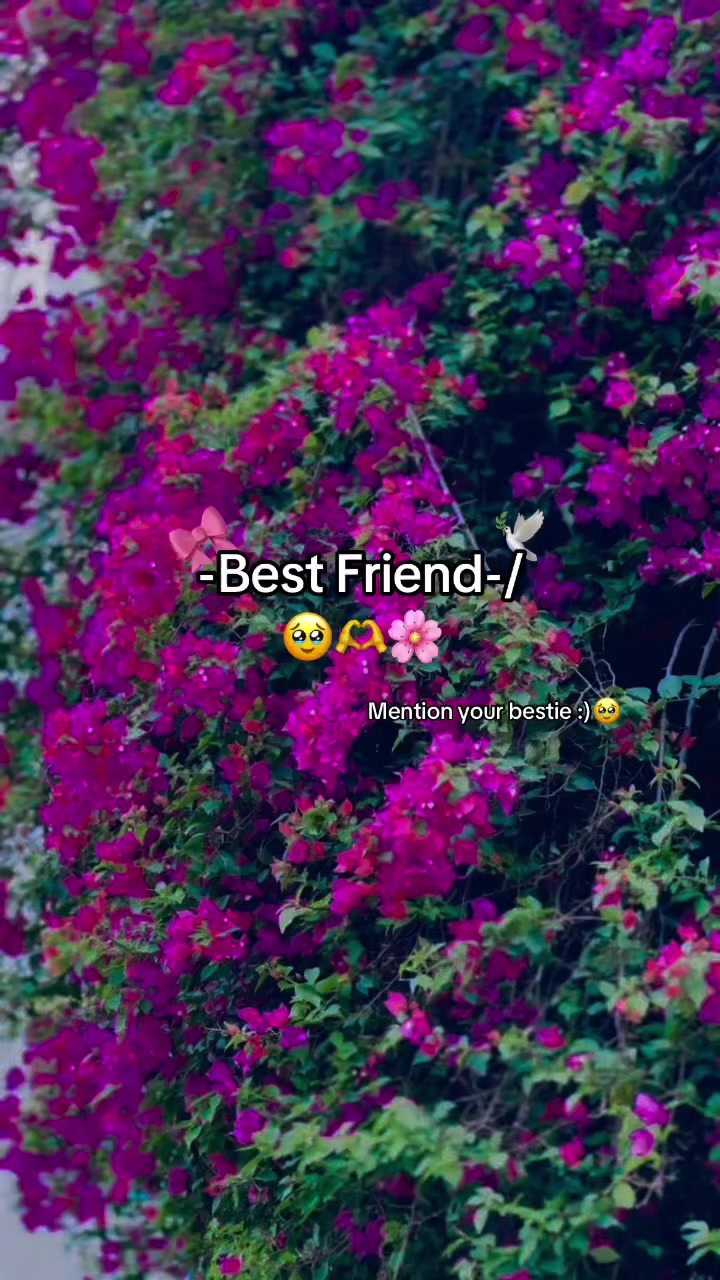 @🌷সুনামগঞ্জের ছেলে🌷