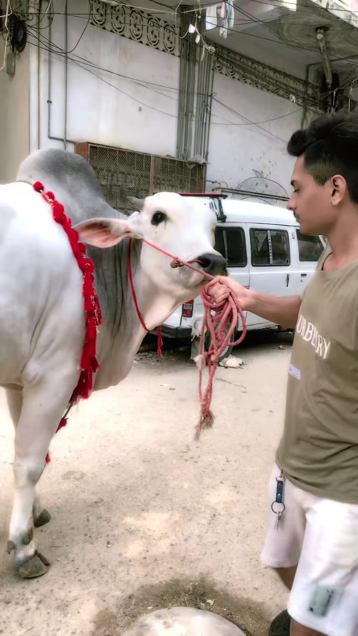 @🧸Munna🧸