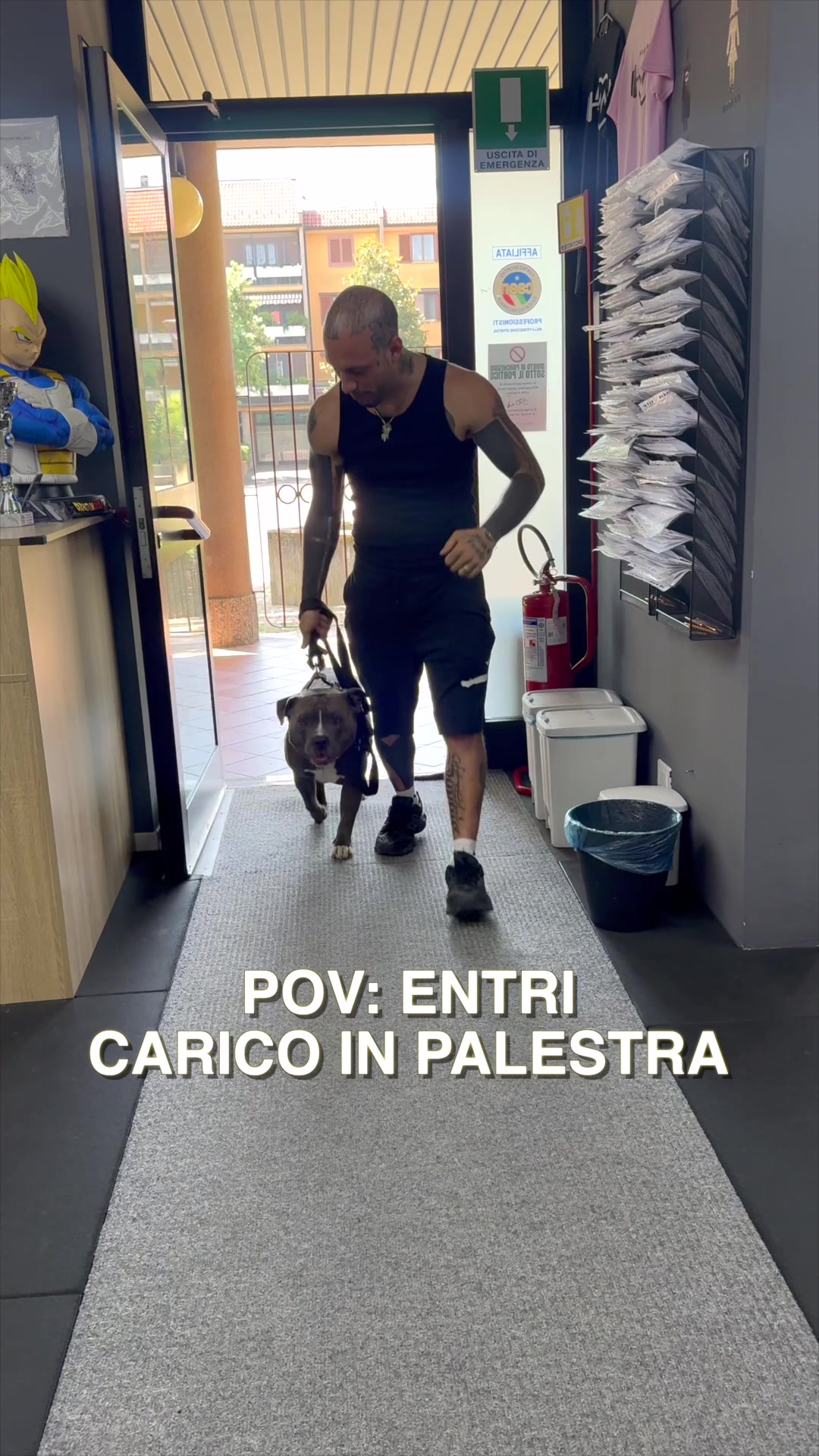 @MASSI e MINO