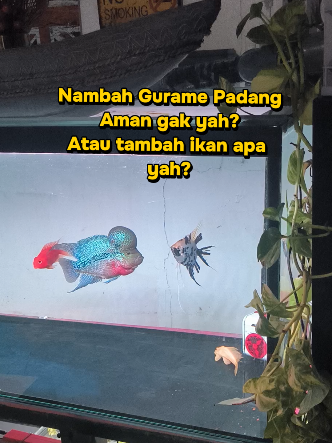 @Punya Namita