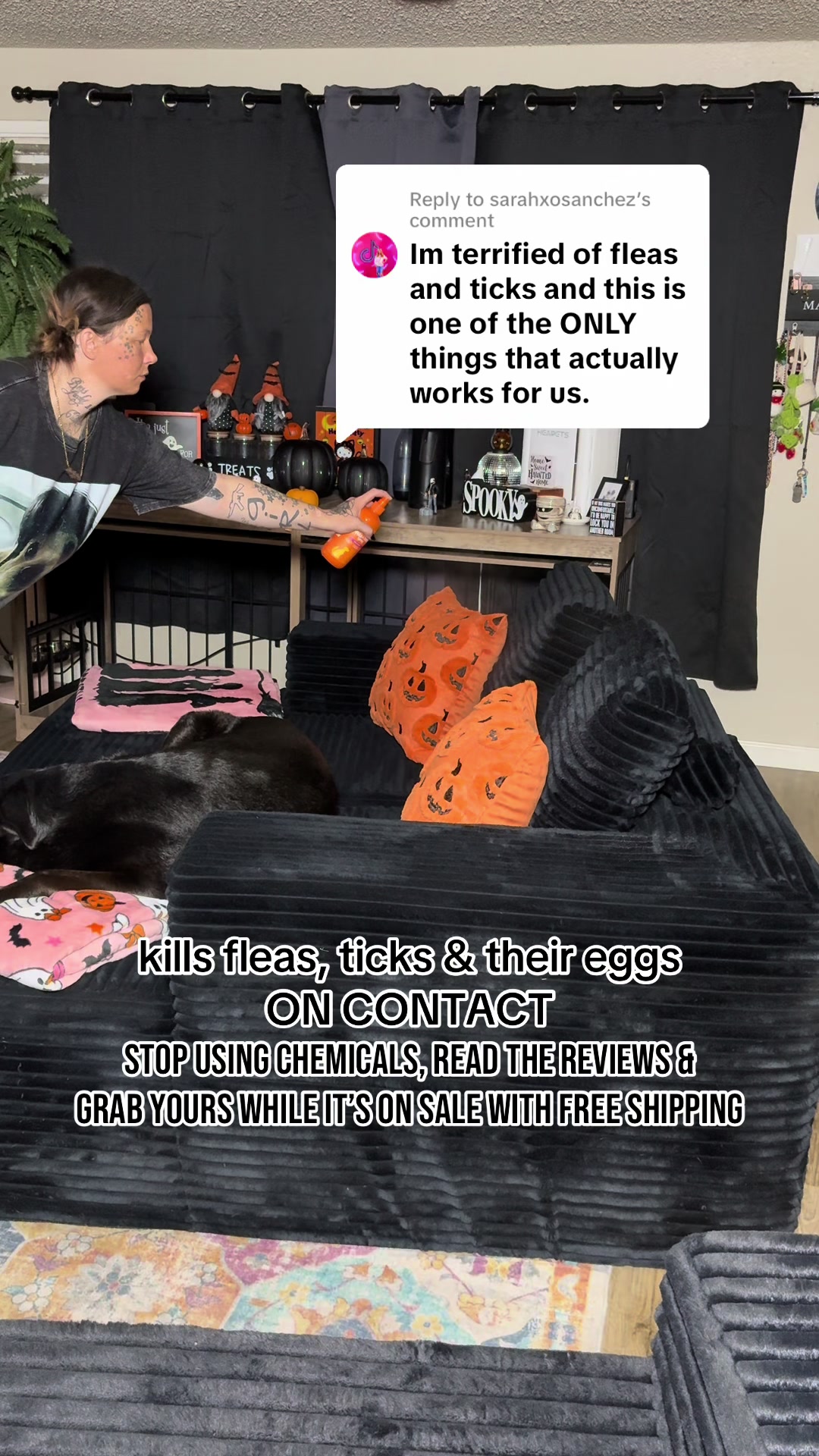 @kai•thedogmother🐾