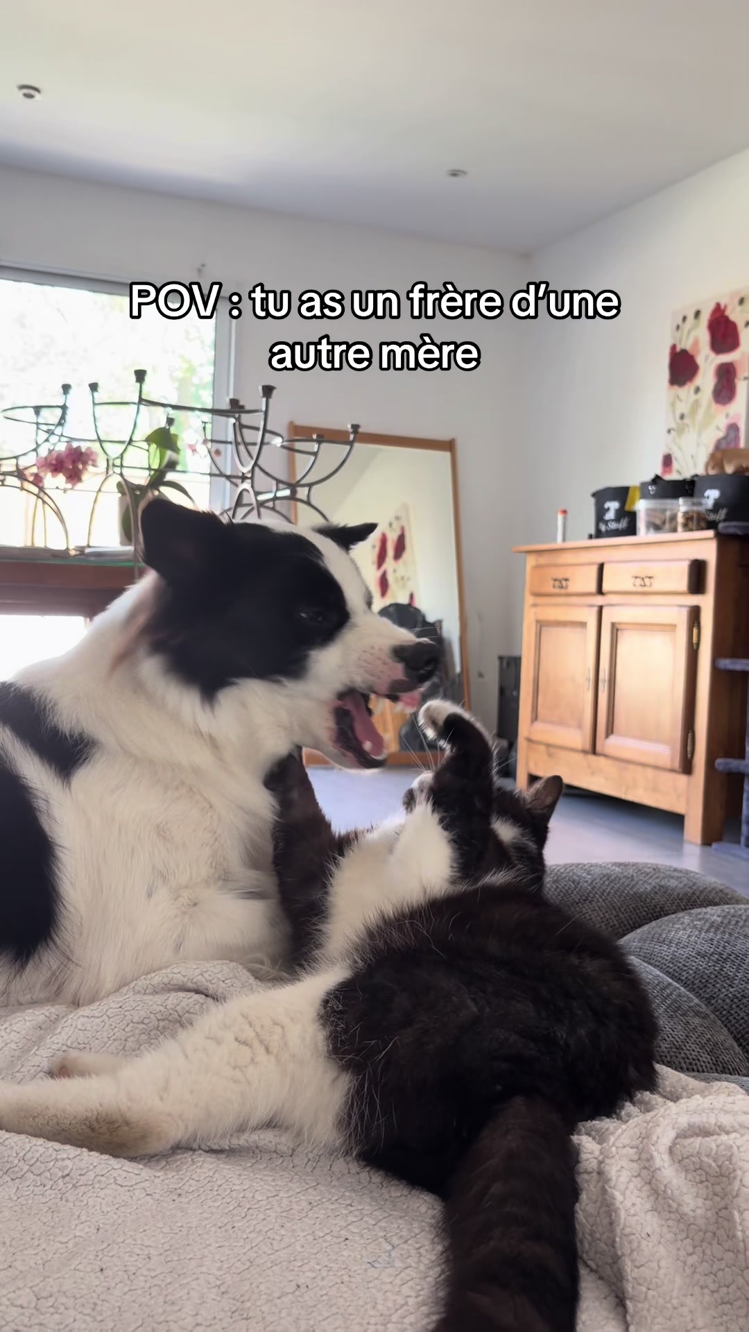 @Tigrou & Asko