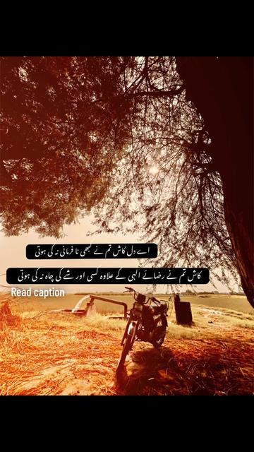 @چوہدری شعیب احمد 🦅
