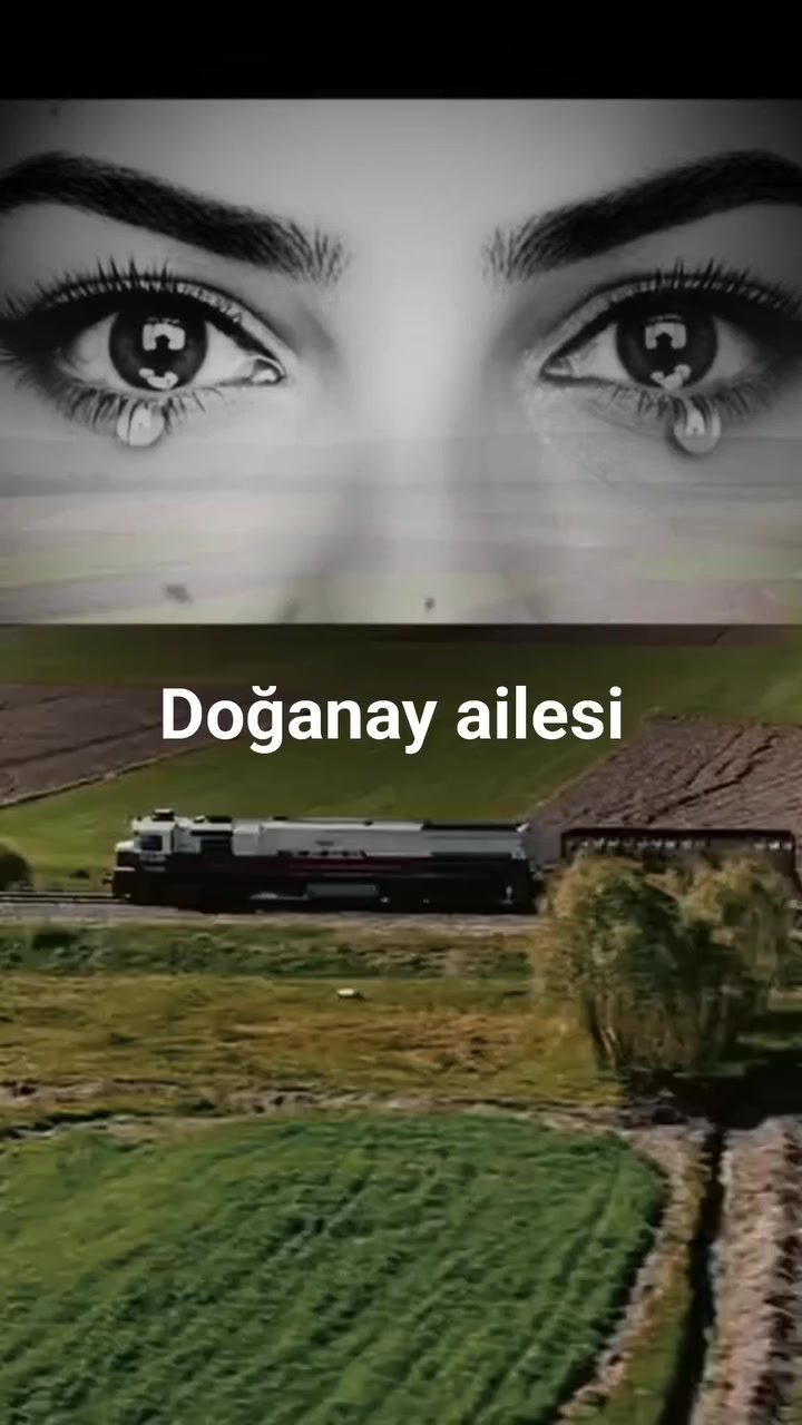 @alidoganayci