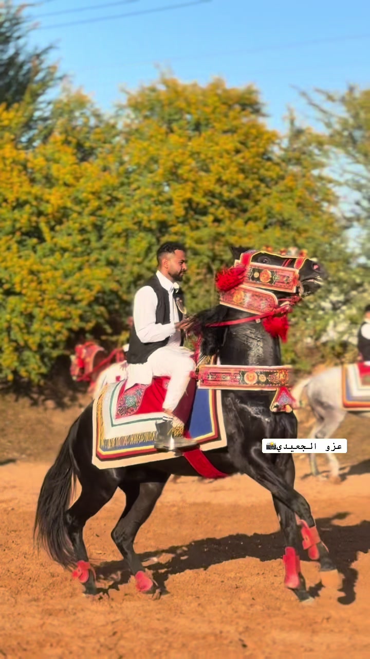 @عزو الجعيدي